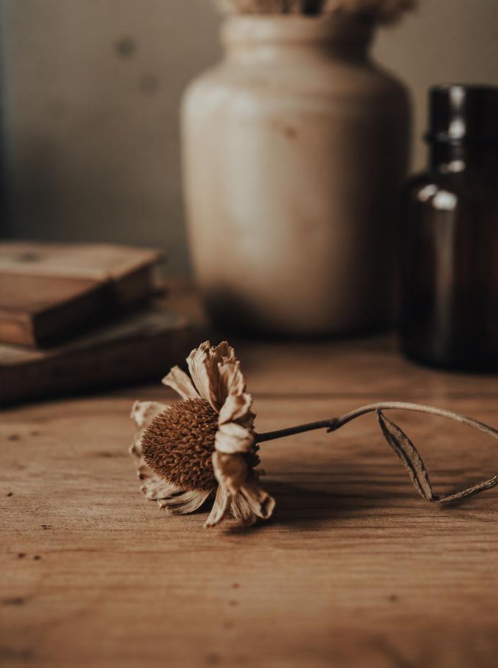A dried flower resting on a wooden table in soft focus