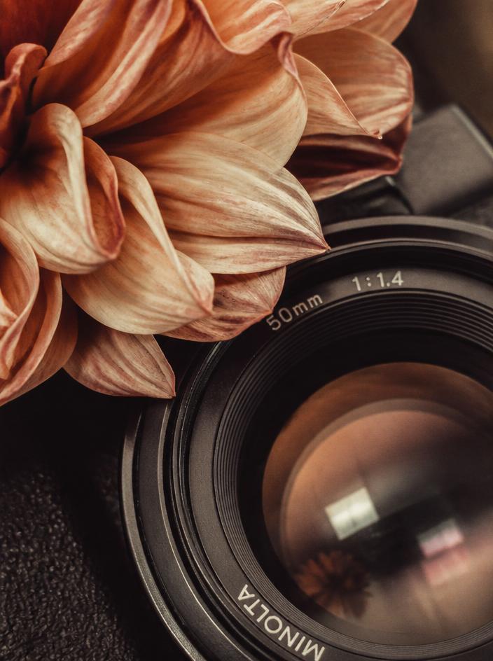 Macro shot of dried flower petals beside a vintage camera lens
